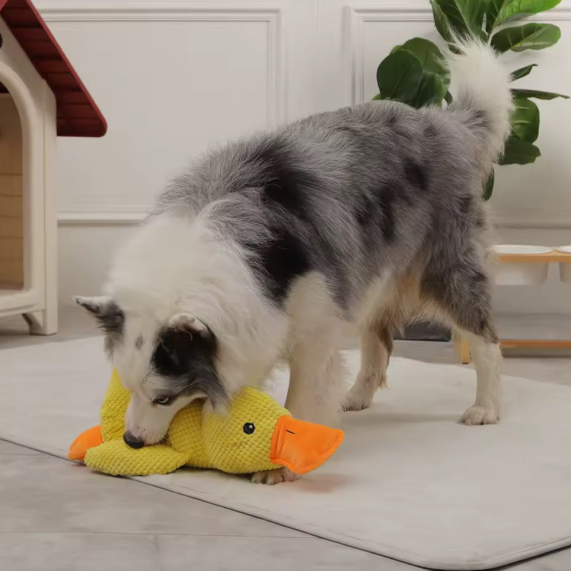 Juguete para Perros – Pato de Peluche con Estimulación Mental