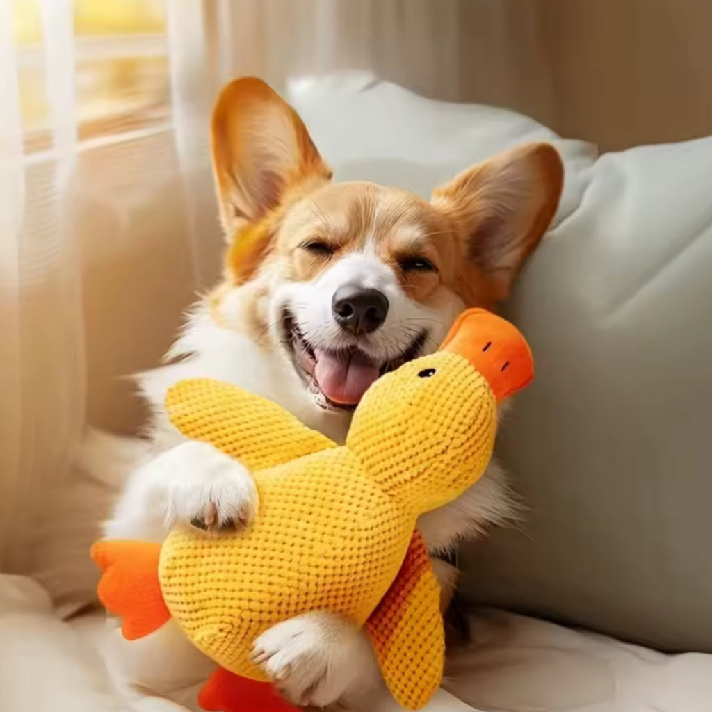 Juguete para Perros – Pato de Peluche con Estimulación Mental